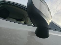 View Auto part Right Rear Door Sliding Mazda Cx3 2024